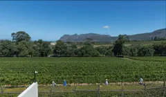 Constantia Manor in Constantia – photo 38 thumbnail