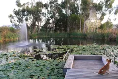 Le Jardin Villa in Stellenbosch – photo 38 thumbnail