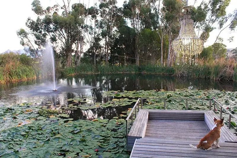 Le Jardin Villa in Stellenbosch – photo 38