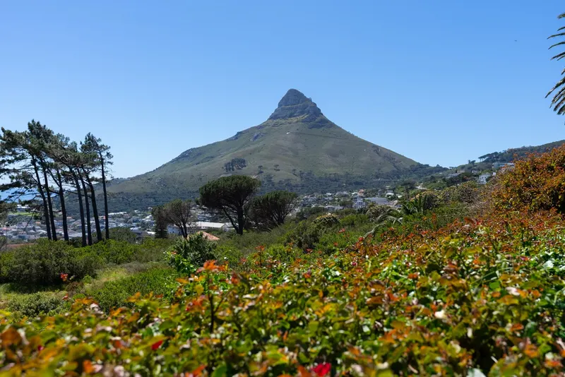 The 11 Camps Bay in Camps Bay – photo 24