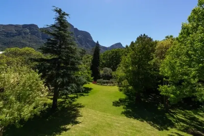 Organic House in Bishopscourt – photo 39