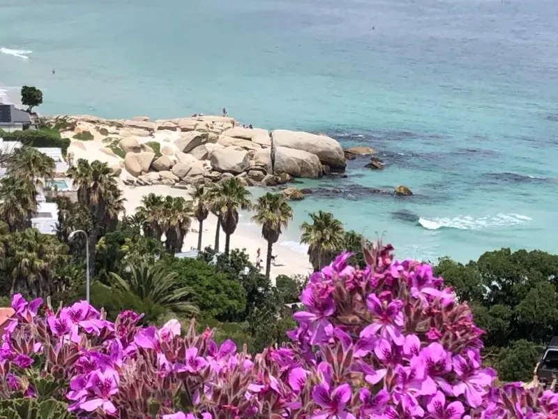 Nautica 2 Bed in Clifton – photo 23