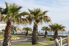 The Saunders Apartment in Bantry Bay – photo 10 thumbnail