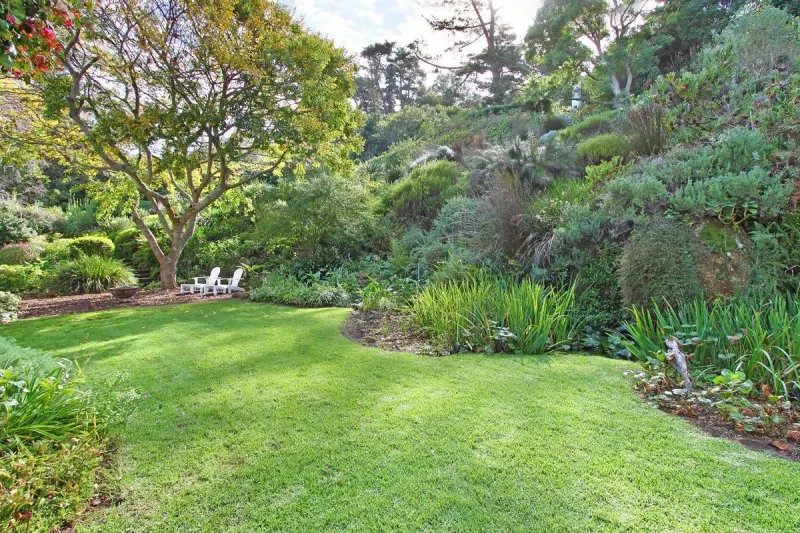 Constantia Sunbird in Constantia – photo 2