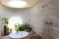 Organic House in Bishopscourt – photo 21 thumbnail