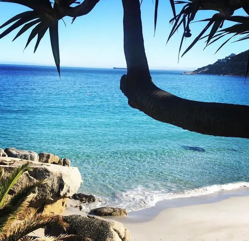 Nautica 2 Bed in Clifton – photo 22