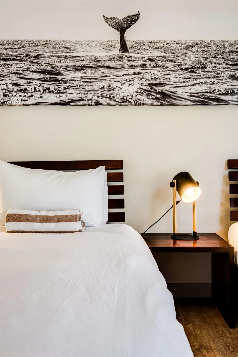 Vadi Apartment in Camps Bay – photo 20