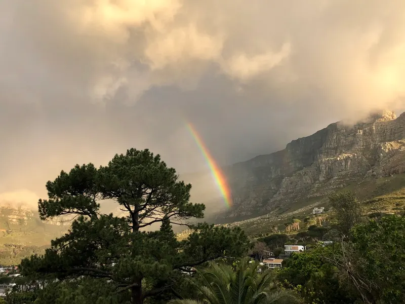Cape Kloof in Gardens – photo 31