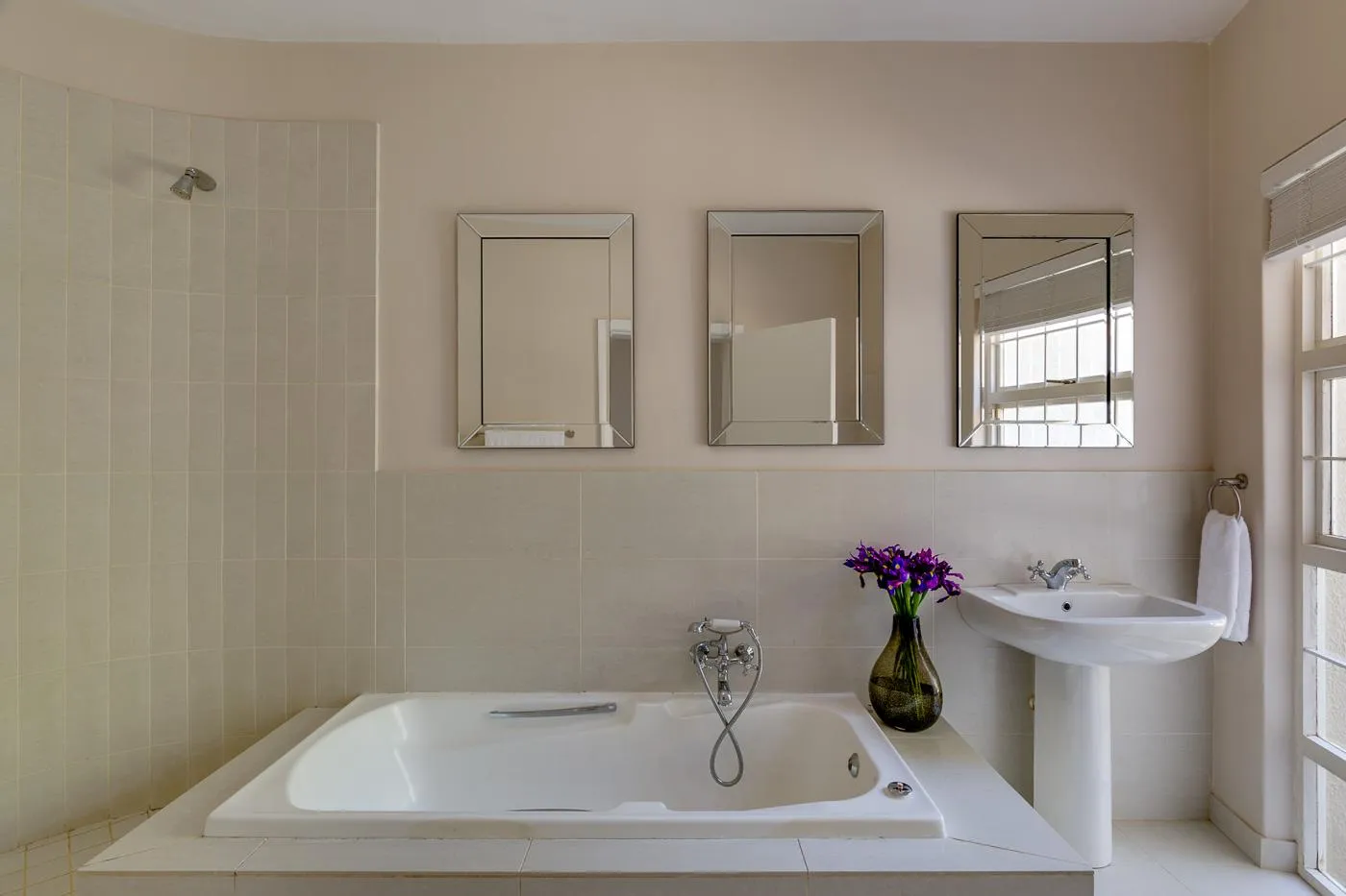 property_d7b44656-9bc4-480b-a7ab-b9864afea7a9_13