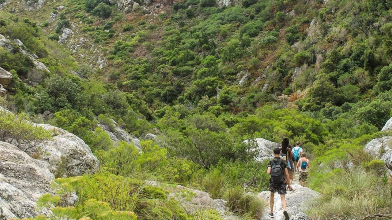 Hiking in Cape Town
