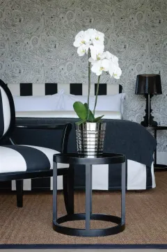 Manna Villa in Vredehoek – photo 11 thumbnail