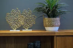 Ocean Pearl in Camps Bay – photo 5 thumbnail