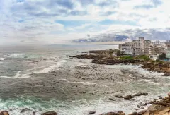 Myrtle View in Bantry Bay – photo 29 thumbnail