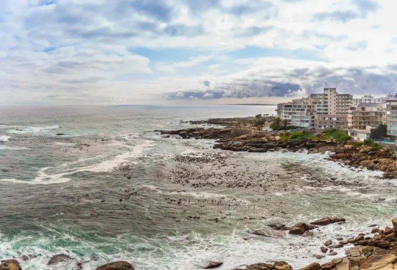 Myrtle View in Bantry Bay – photo 29