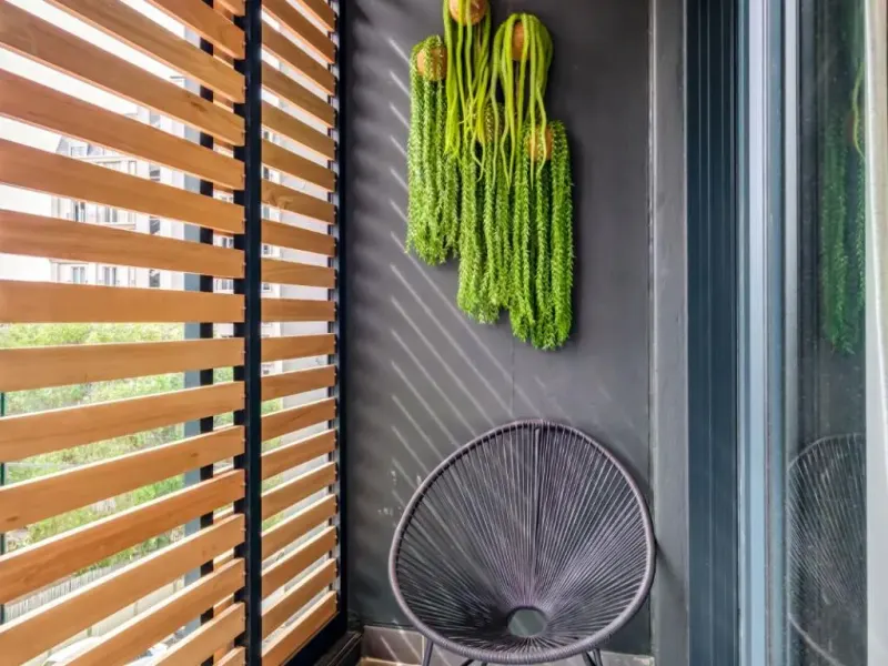 Mimosa Apartment in Green Point – photo 21