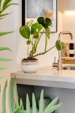 Mirabel in Sea Point – photo 22 thumbnail