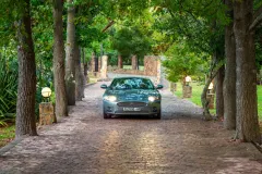 Villa Ibis in Witteboomen – photo 2 thumbnail