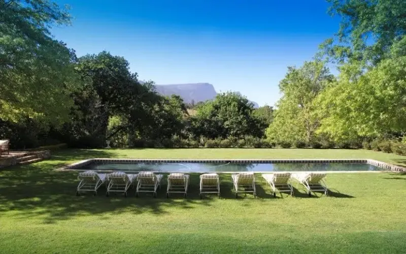 Klein Constantia Vistas