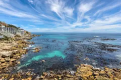 Aurum 501 in Bantry Bay – photo 5 thumbnail