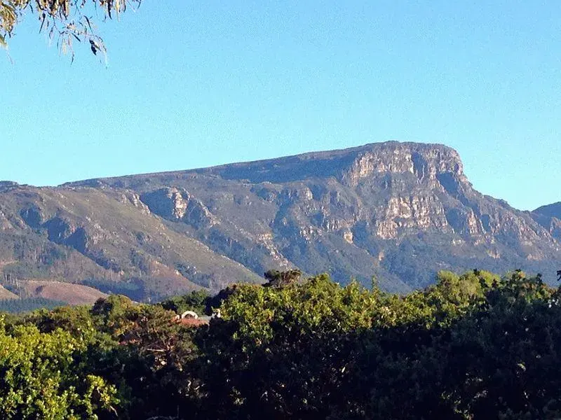 Welgelee Constantia in Fir Grove – photo 3