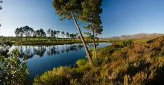 Villa Lothian in Grabouw – photo 11 thumbnail