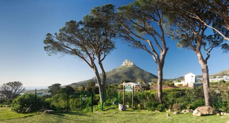 Inglenook Villa in Camps Bay – photo 3