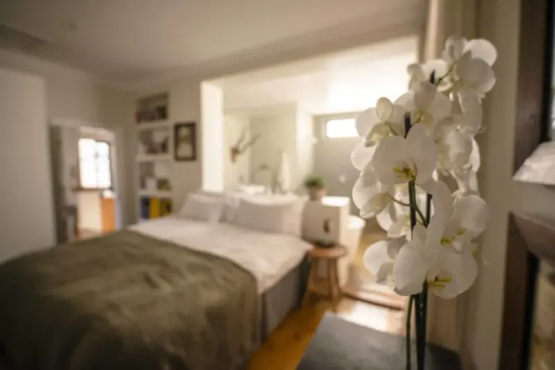 Portland Cottage in Green Point – photo 7